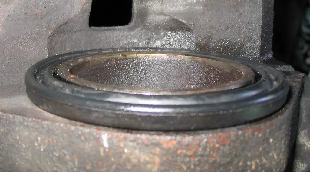 25 Dont Crush The New Dust Seal.webp