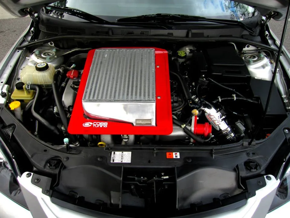 295173_10151561556135055_853315054_23897479_288038142_n.jpg