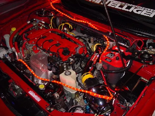 2nd red protege.webp