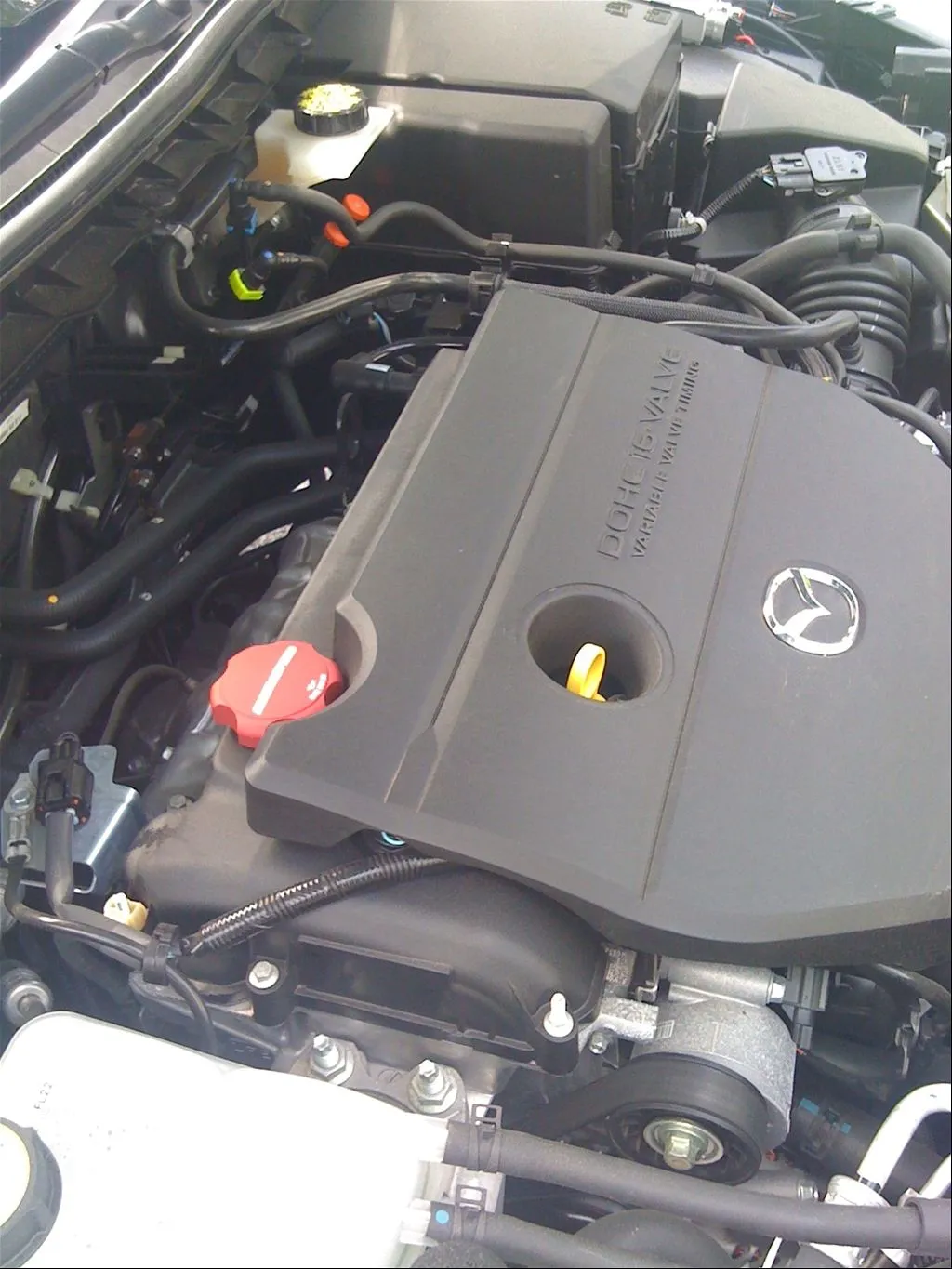 38609210052_large.jpg