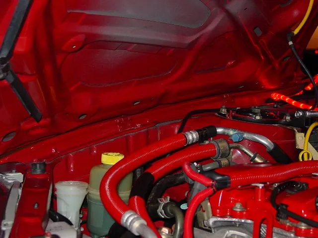 3rd red protege.webp