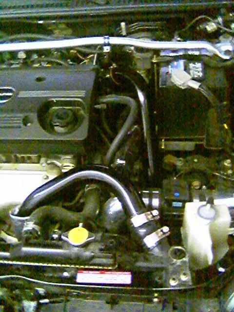 40162048901.jpg