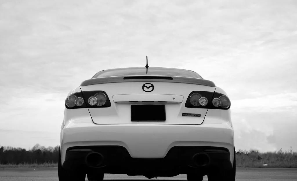 4302833070_a7a14525fb_b copy.webp