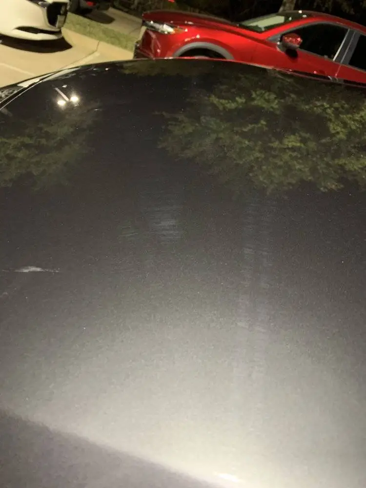 6F085E40-BC0F-41D3-BC4C-EA7F51E91370.jpeg