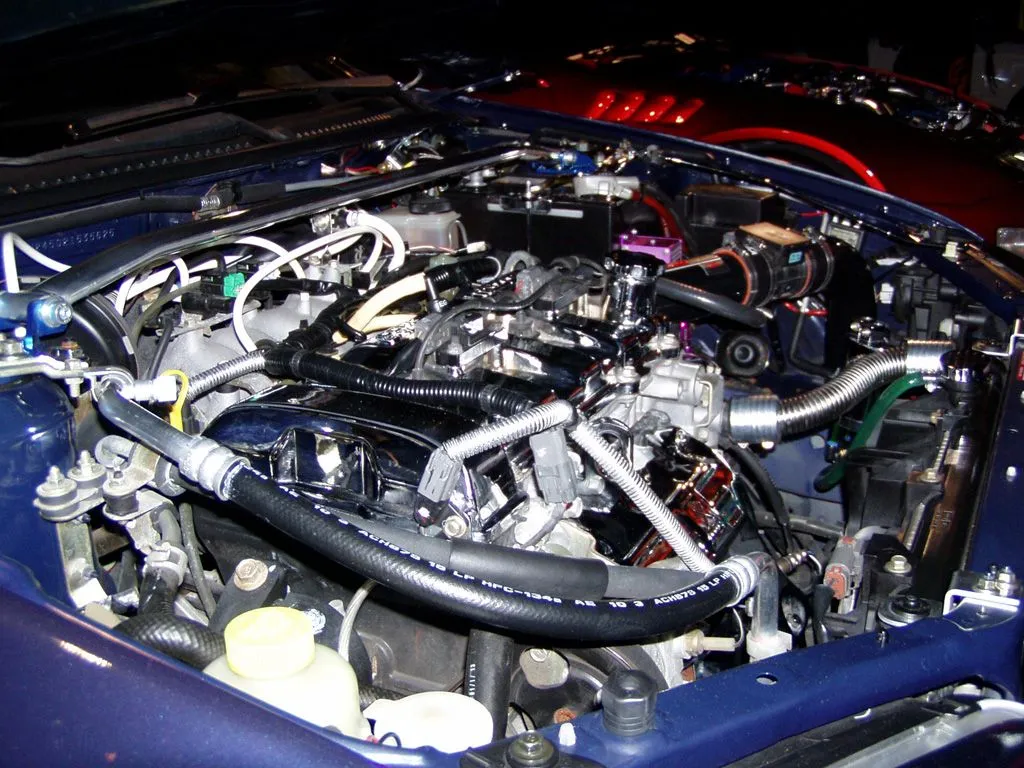 7-17 meet and show gurly2.webp