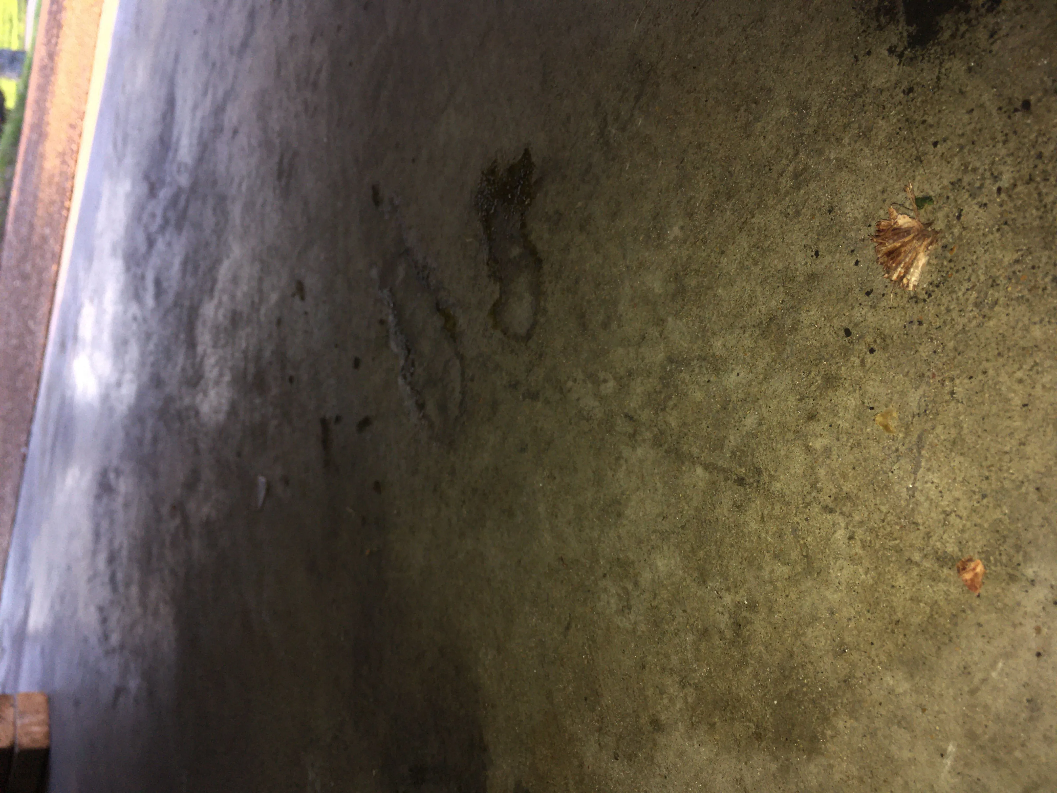 7451DA44-55C8-4076-87F9-FEB8C3CF9CE5.jpeg