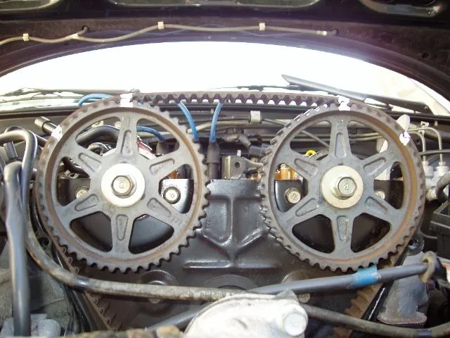 7_BeltBeforeRemoval2.JPG
