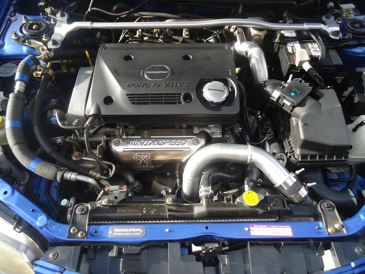 8-17-2024 bayshot 03.webp