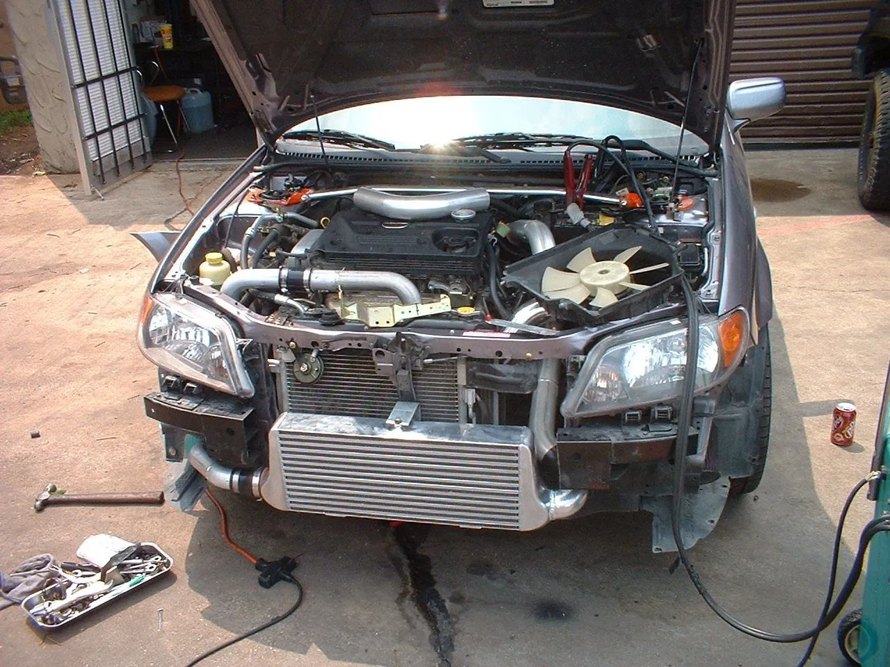 Adam's pic's 010.webp