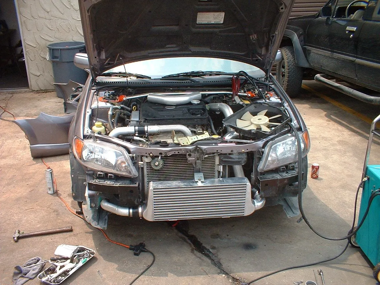 Adam's pic's 012.webp