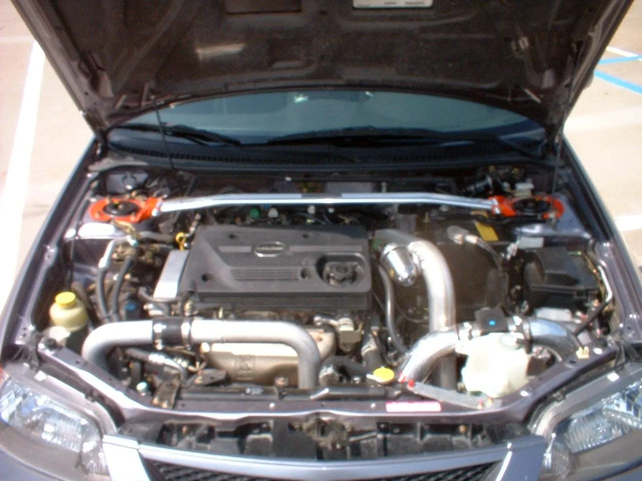 Adam's pic's 029.webp