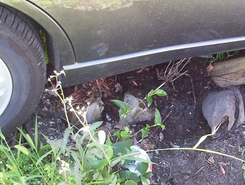 Apt.& car accident 006.webp