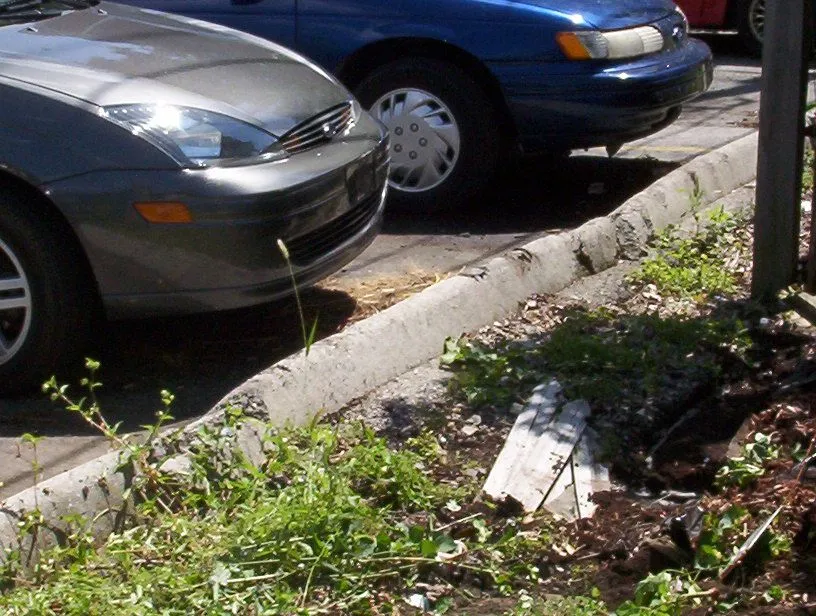 Apt.& car accident 035.webp