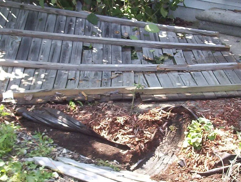 Apt.& car accident 044.webp