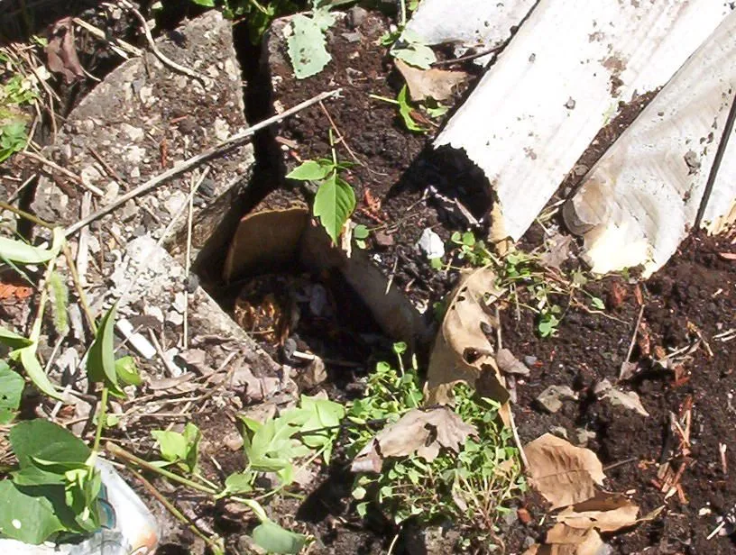 Apt.& car accident 046.webp