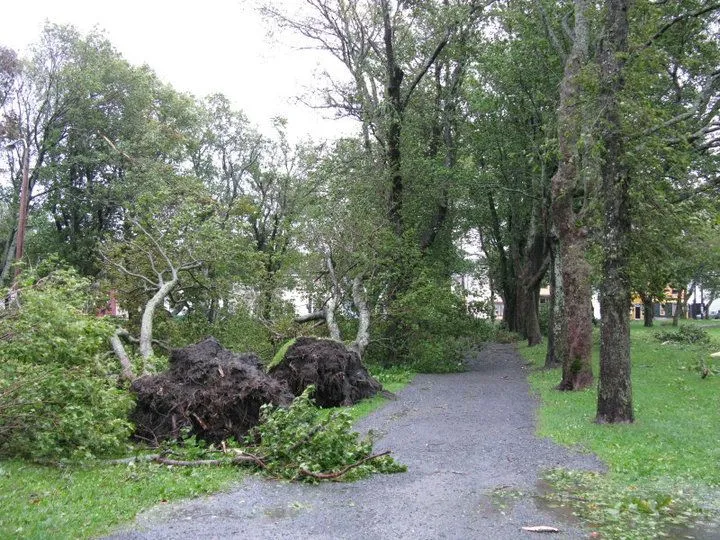 Bannerman Park.jpg