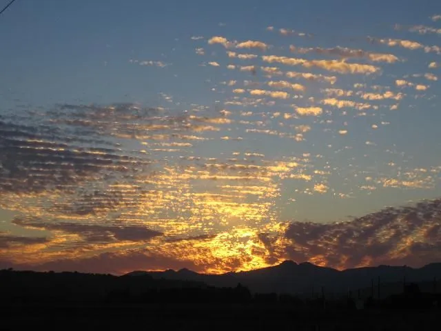 Beautiful sunset.webp