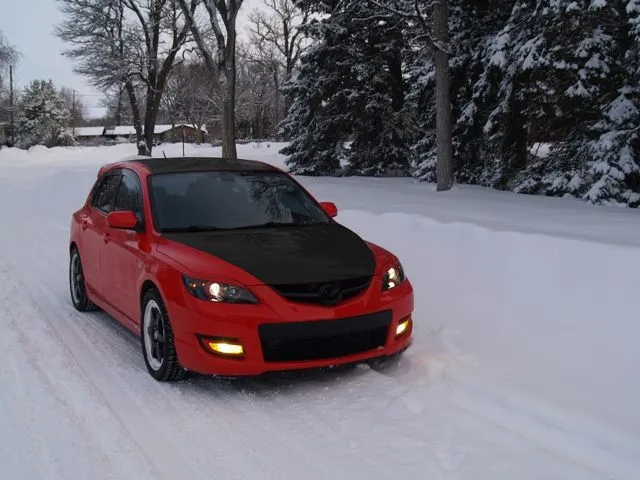 Blackroof and hood 2.jpg