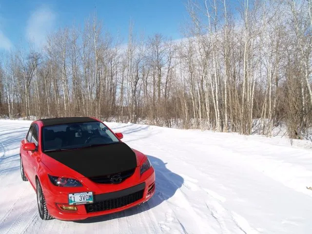 Blackroof and hood.jpg