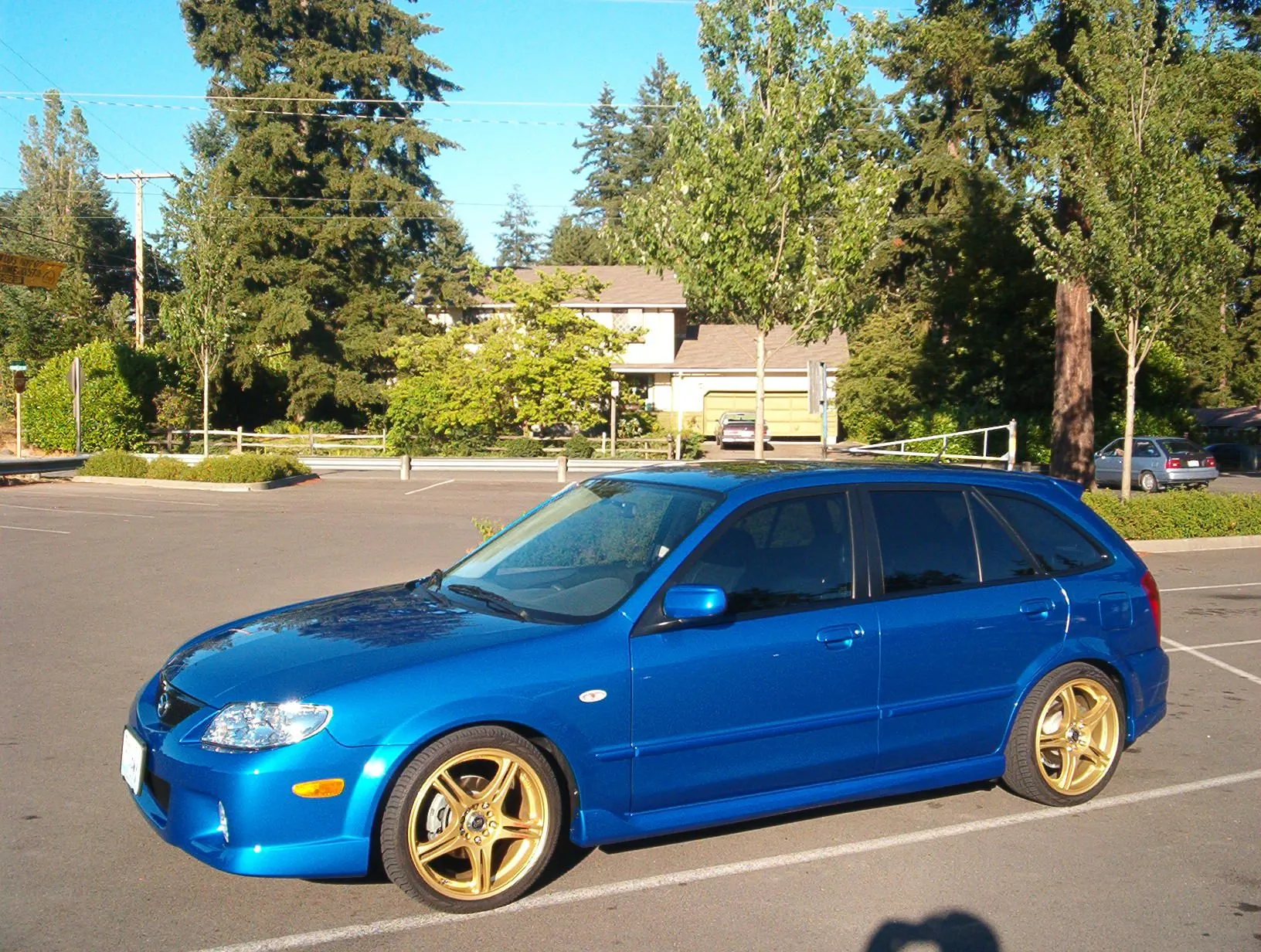 blue 028.jpg