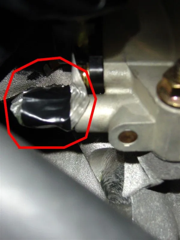 bottom plug.jpg