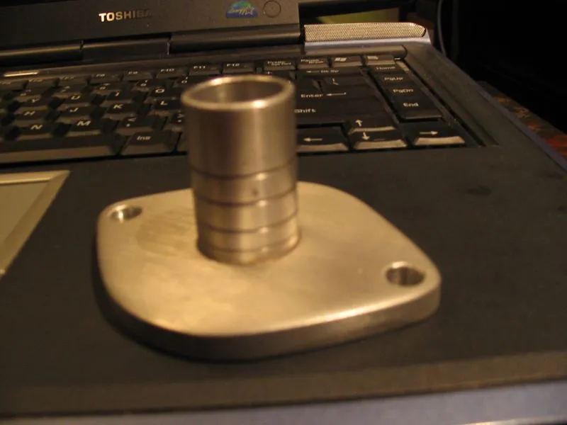 bov-006.jpg