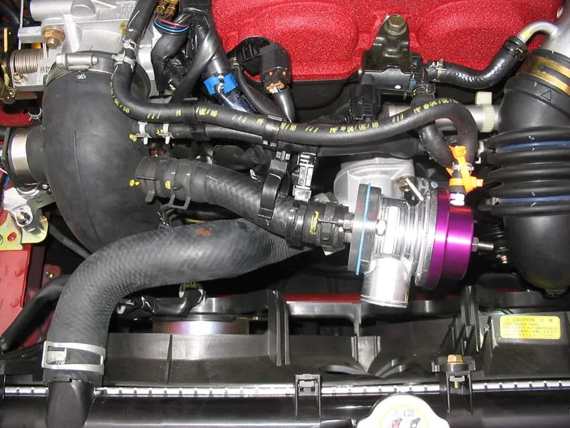 bov-008.jpg