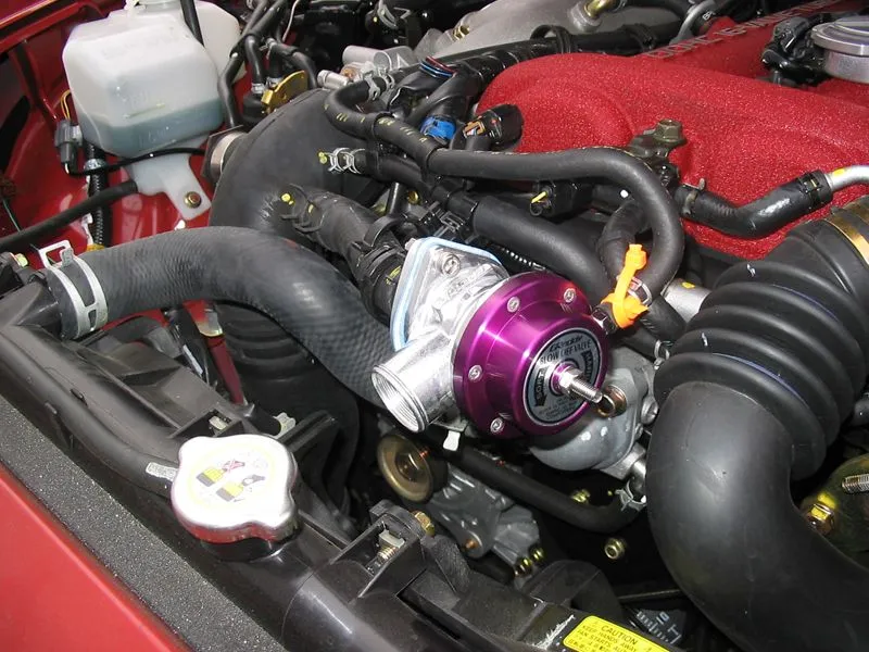 bov-009.jpg