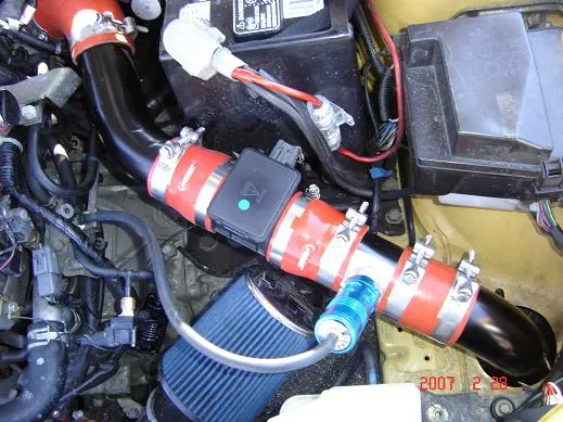 bov.JPG