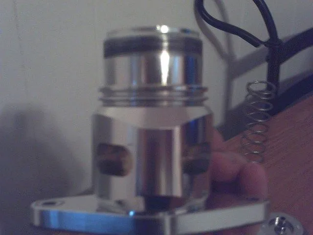 bov pictures 004.JPG