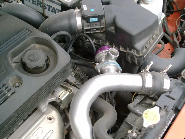 Bov1.jpg