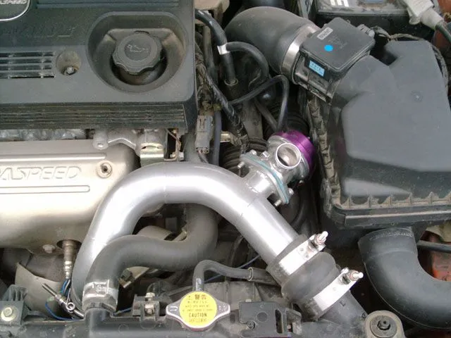 Bov3.jpg
