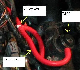 bpv1.jpg