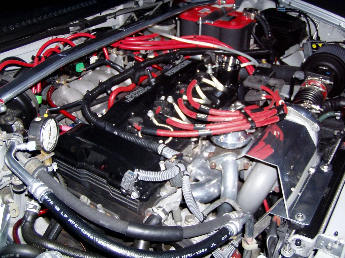 bruce is the man 2.jpg