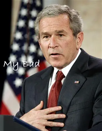 bushmybad1pm.jpg