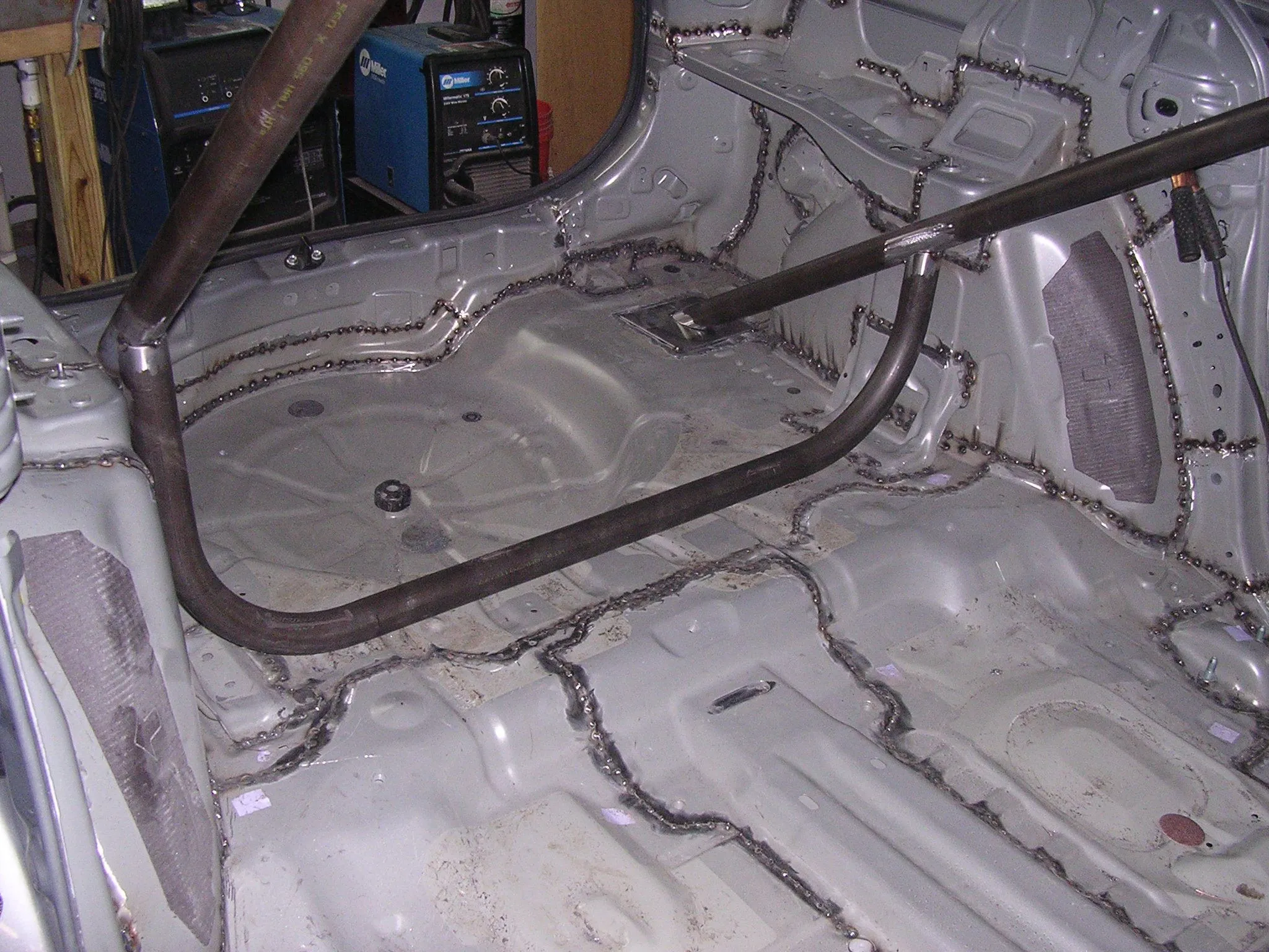 cage 13.jpg