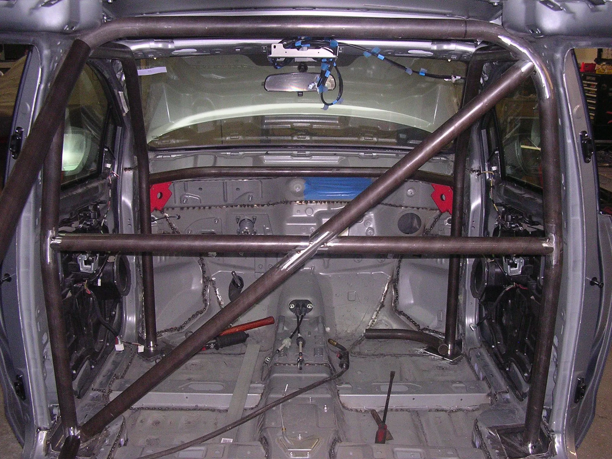 cage 5.jpg