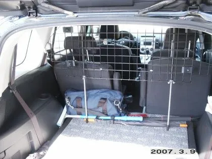 Car gate.jpg