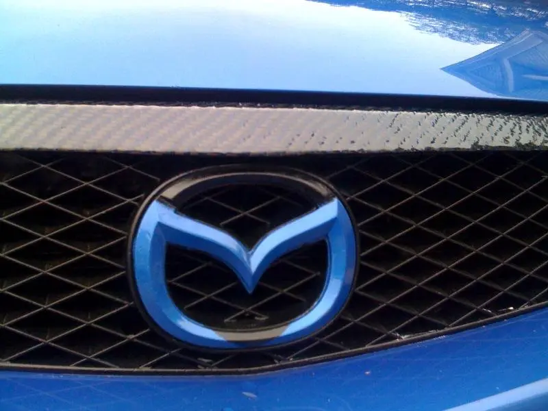 carbon grill 5.JPG