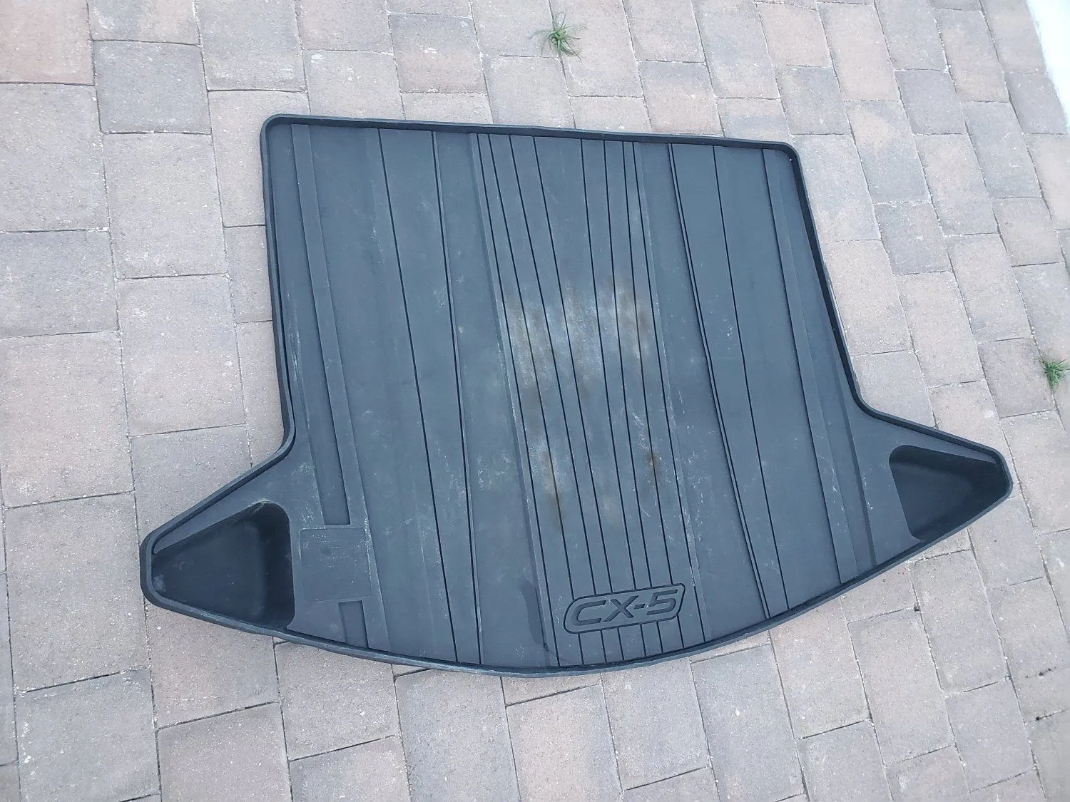 Cargo Mat.webp
