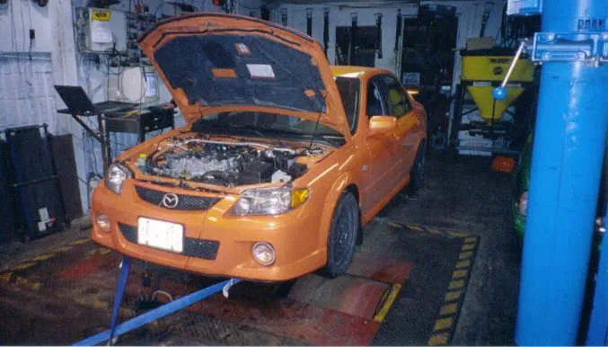 carondyno2.jpg