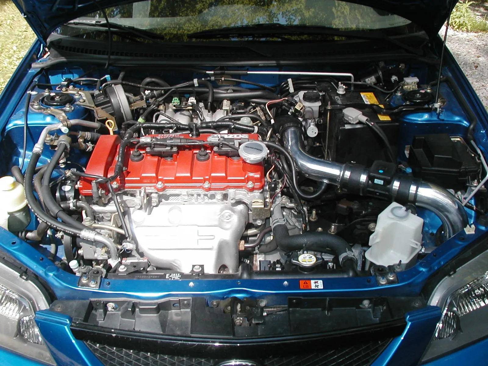 Cars 002.jpg