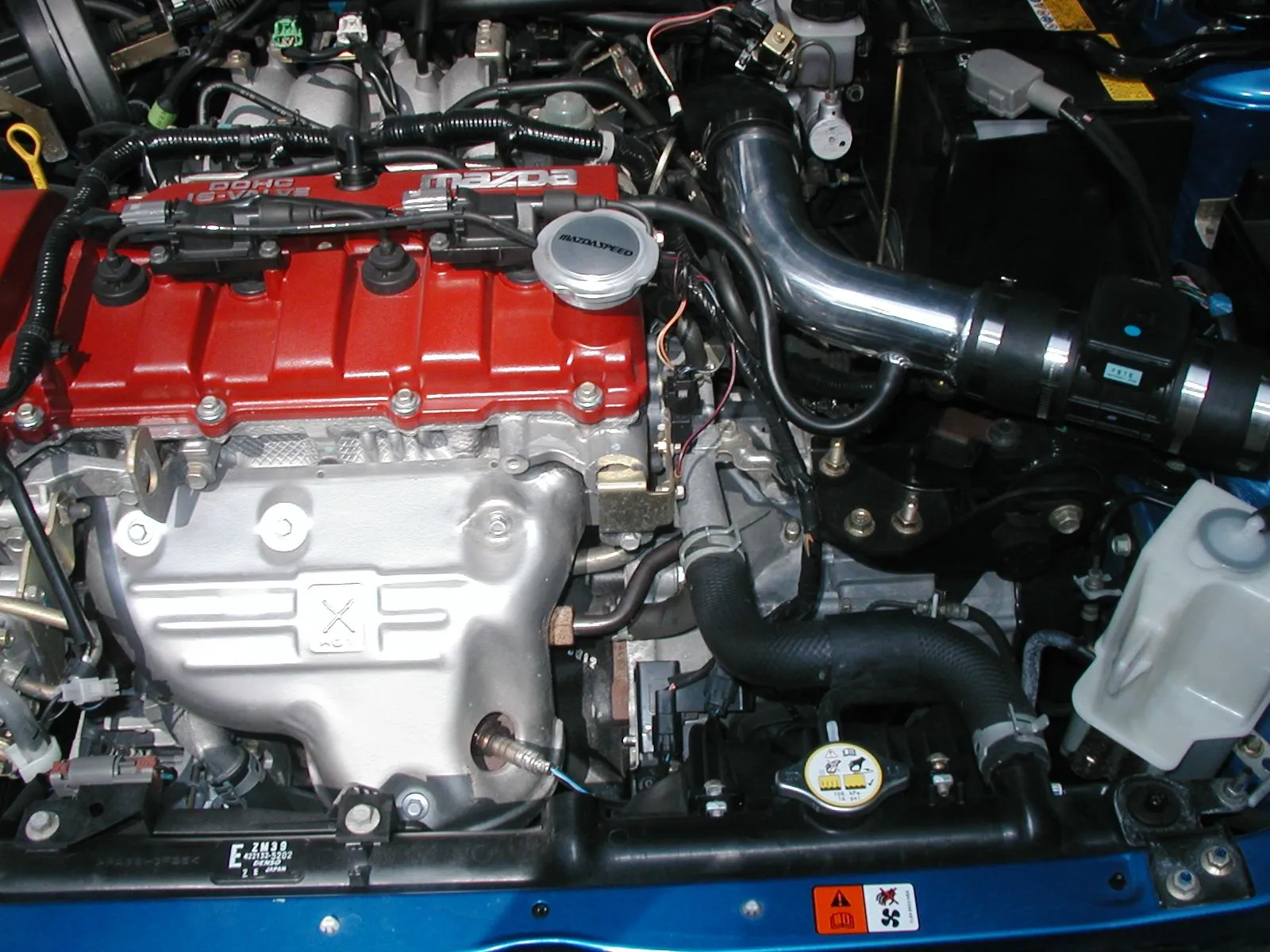 Cars 004.jpg