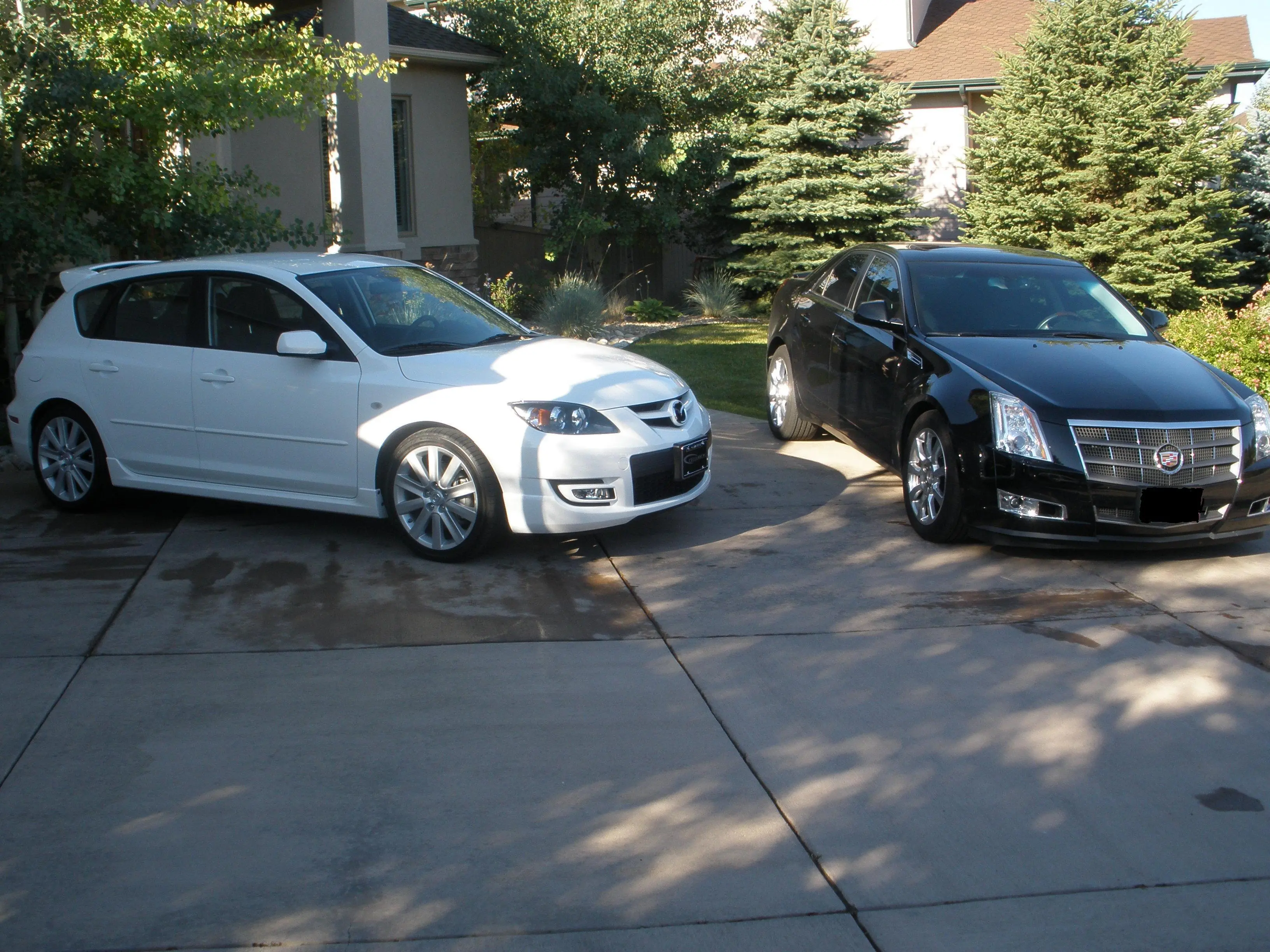 Cars 004.jpg