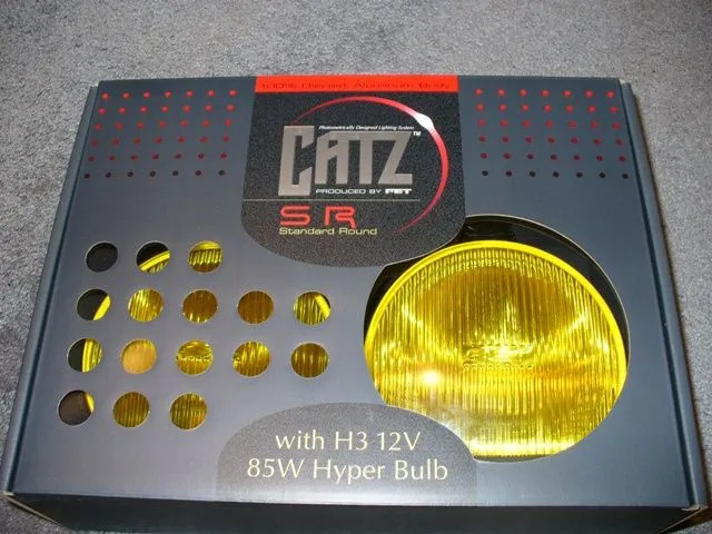 CatzSR 003W.jpg