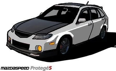 cell_msp5_5(1fastmp5)1.jpg