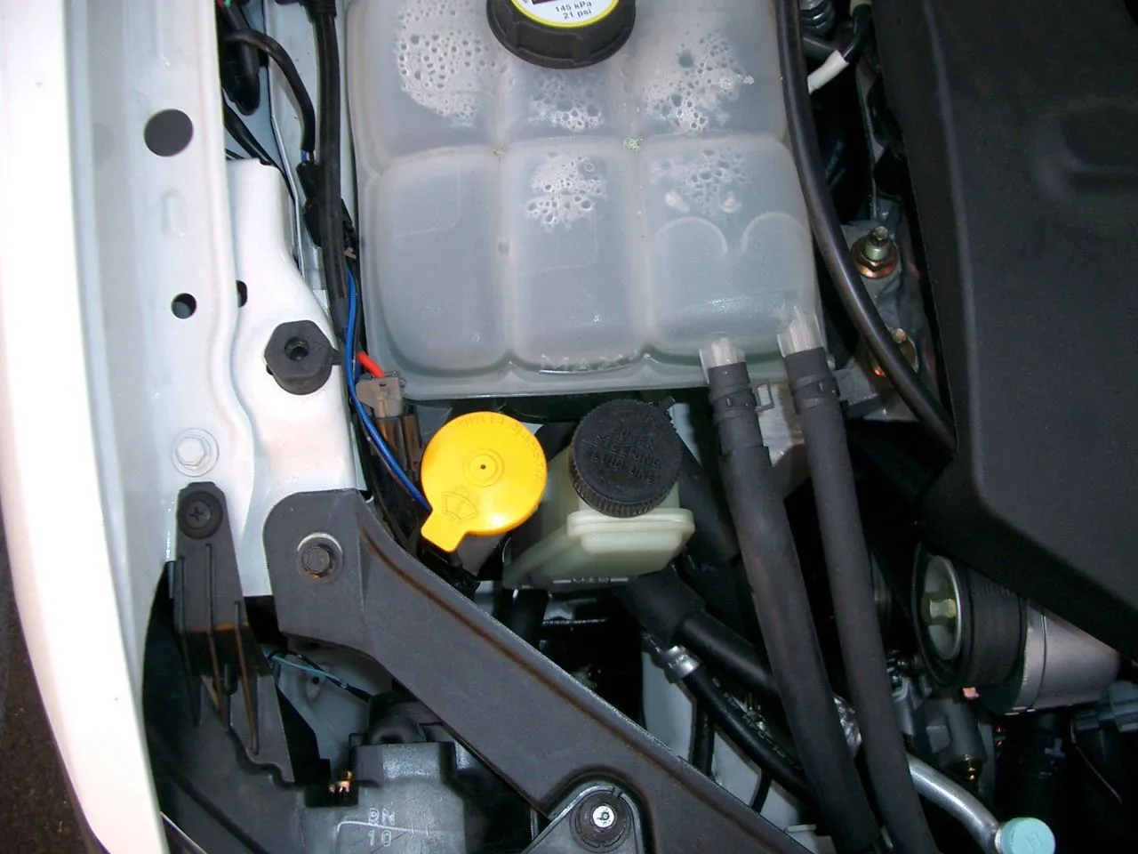 CIMG0675.JPG