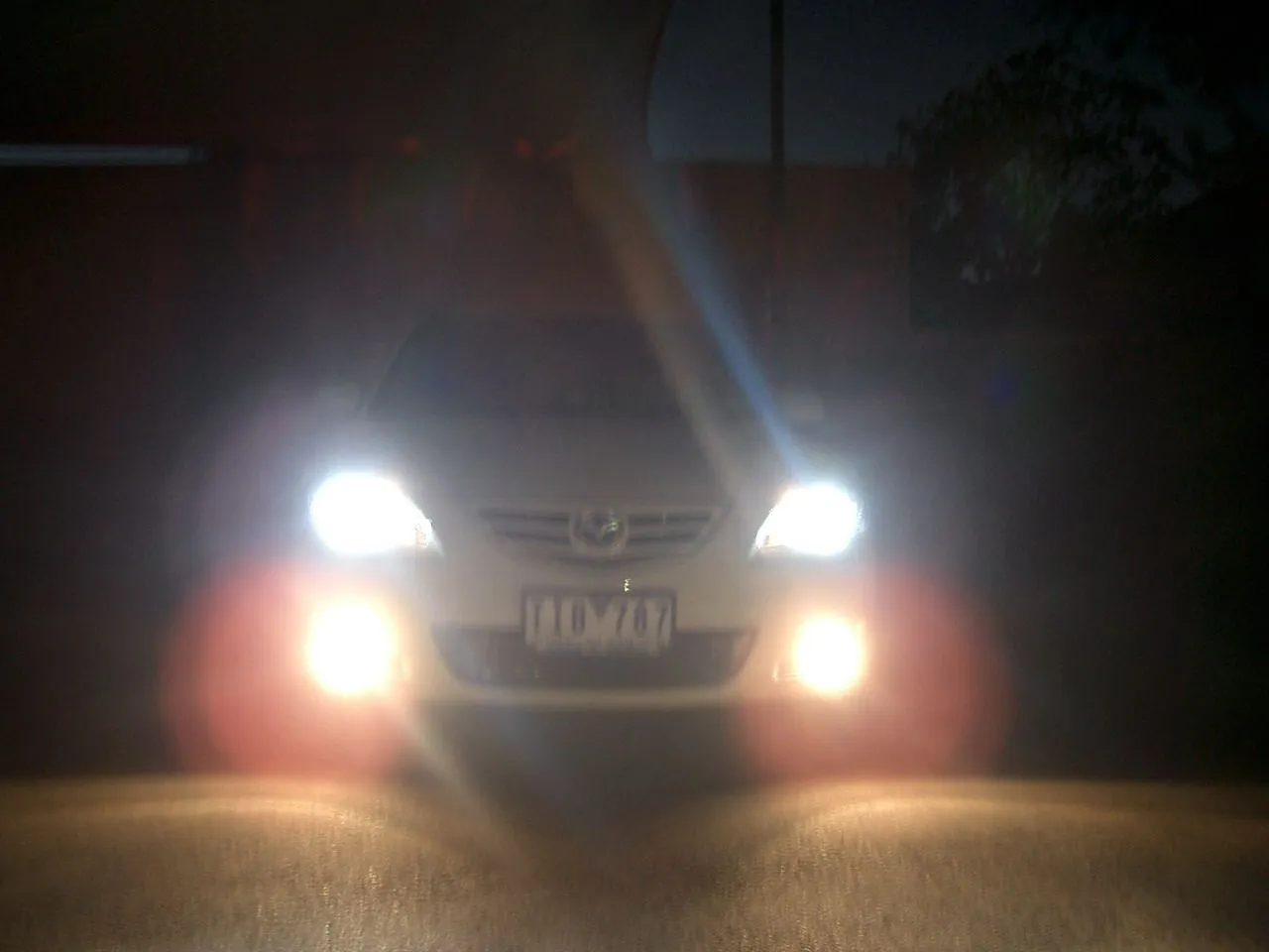 CIMG0686.JPG