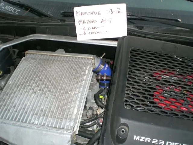 CIMG0702.webp