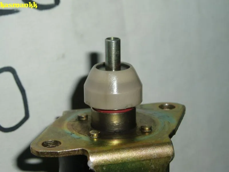 cleaned plunger.webp